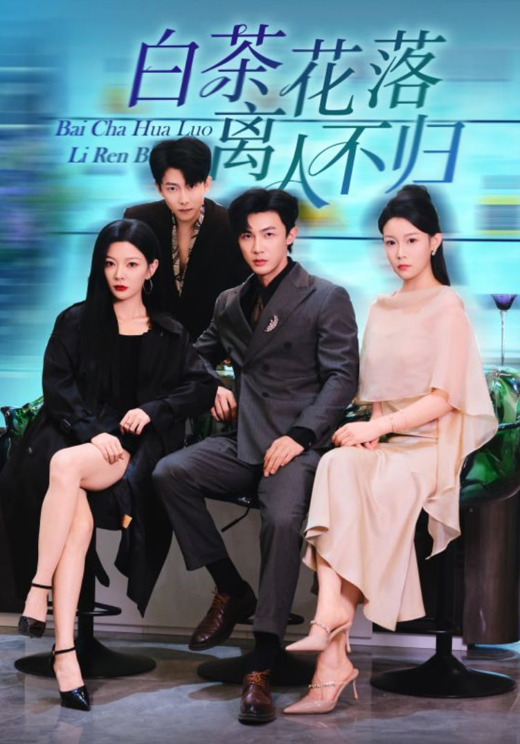 白茶花落离人封面图