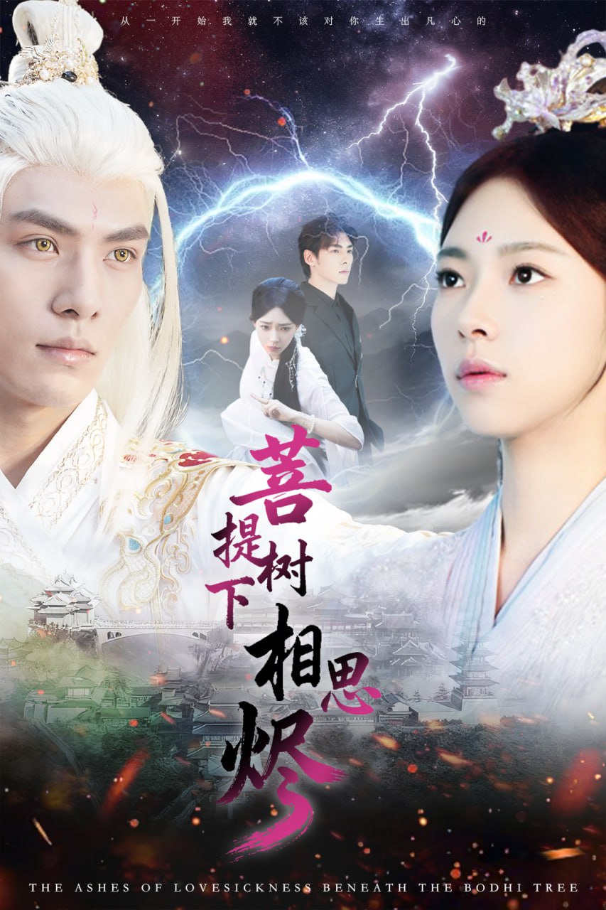 菩提树下相思烬封面图