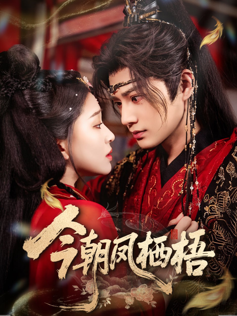 今朝凤栖梧封面图