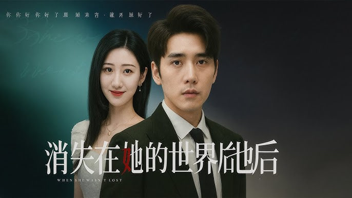 消失在她的世界后她才知道后悔封面图