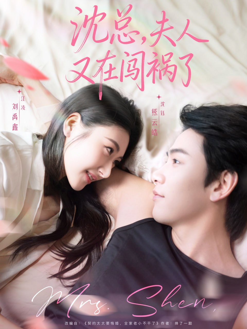 沈总，夫人又在闯祸了封面图