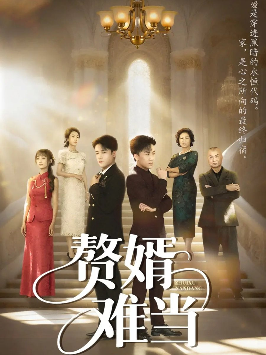 婿业难成（赘婿难当）封面图