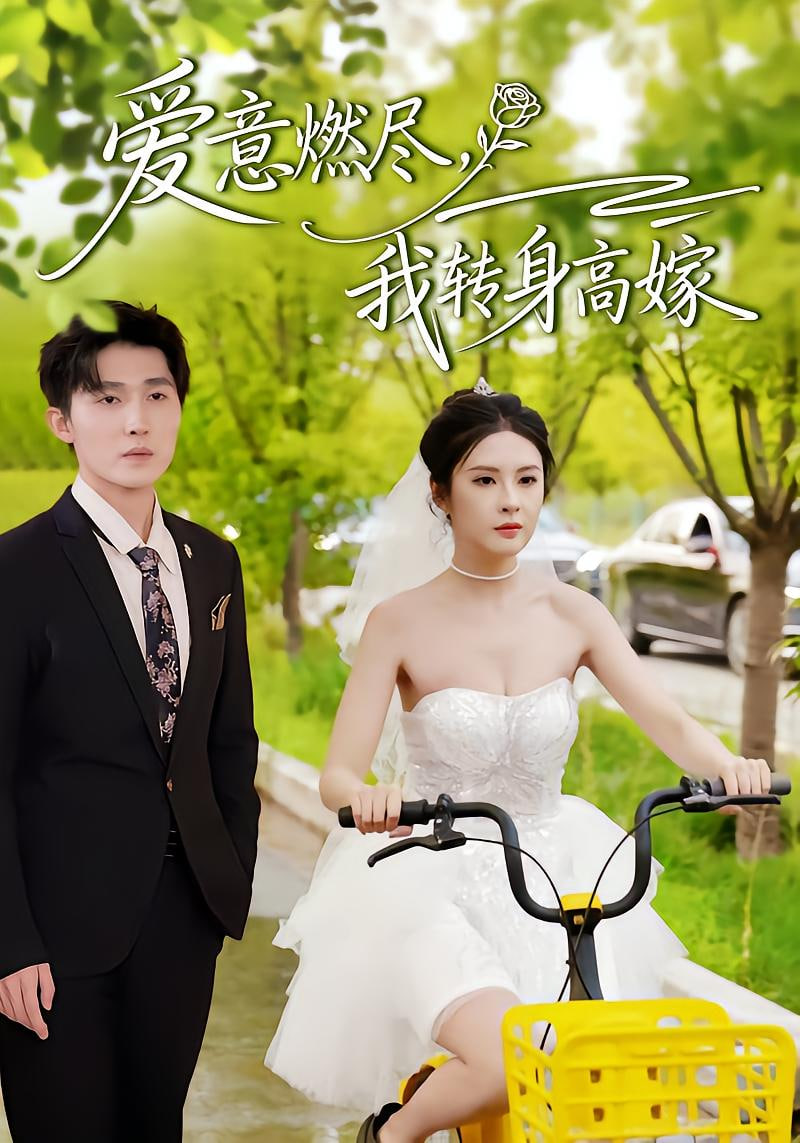 爱意燃尽，我转身高嫁封面图