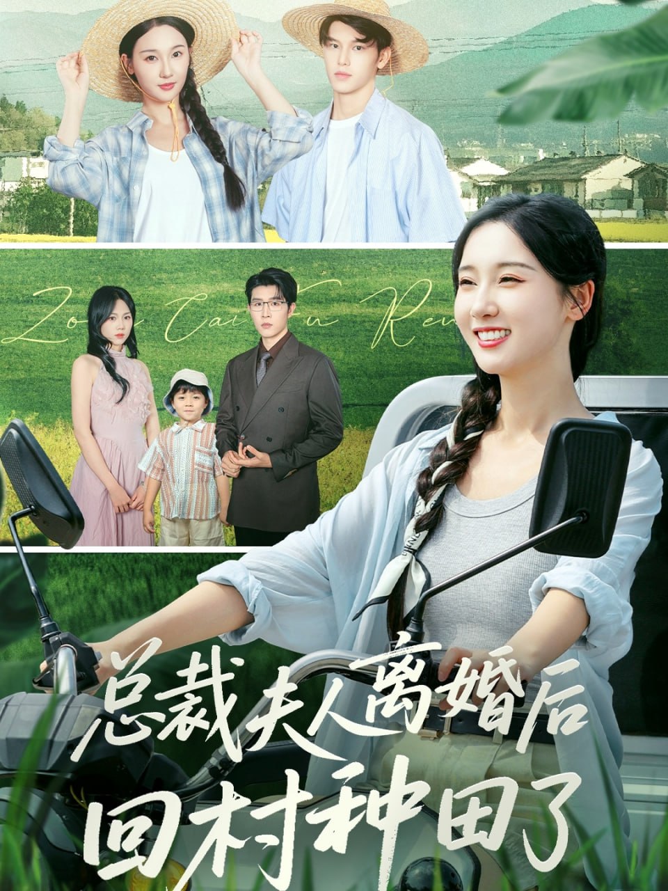 总裁夫人离婚后回村种田了封面图