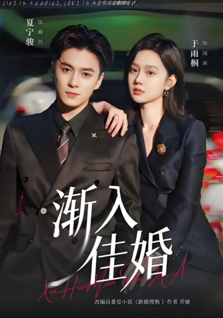 渐入佳婚封面图