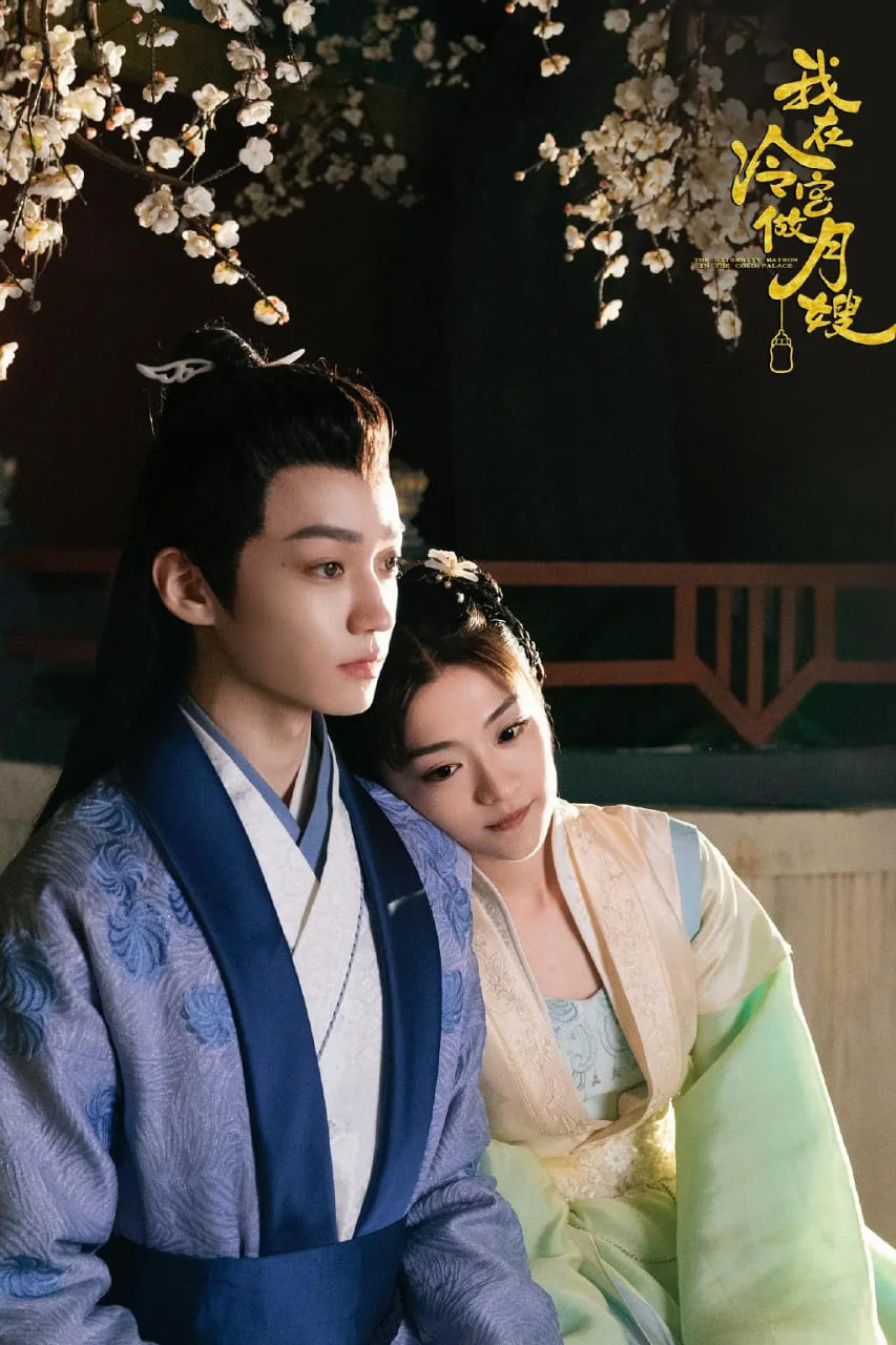 我在冷宫做月嫂封面图