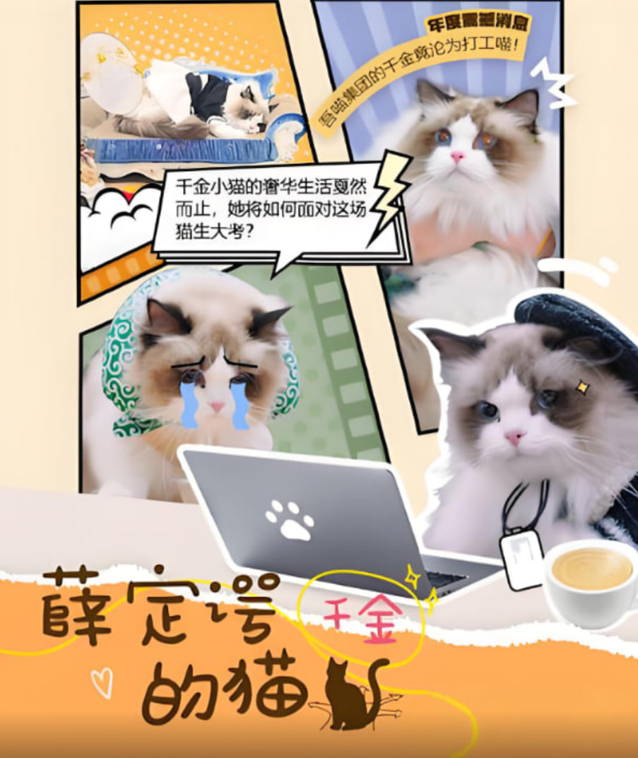 薛定谔的猫封面图