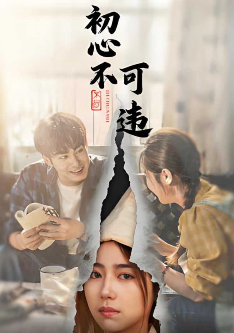 初心不可违封面图