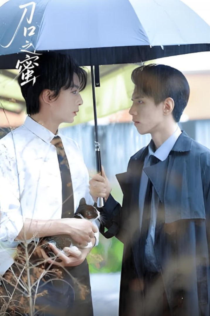 刀口之蜜封面图