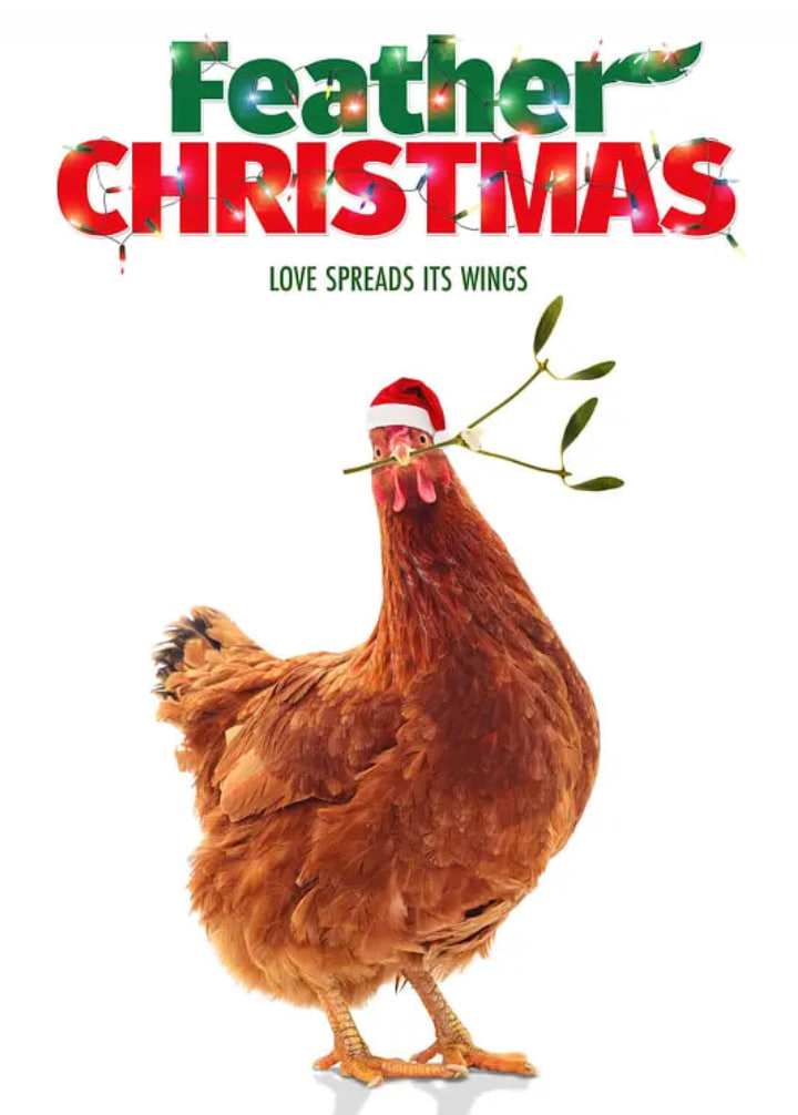 宠物鸡与圣诞节封面图