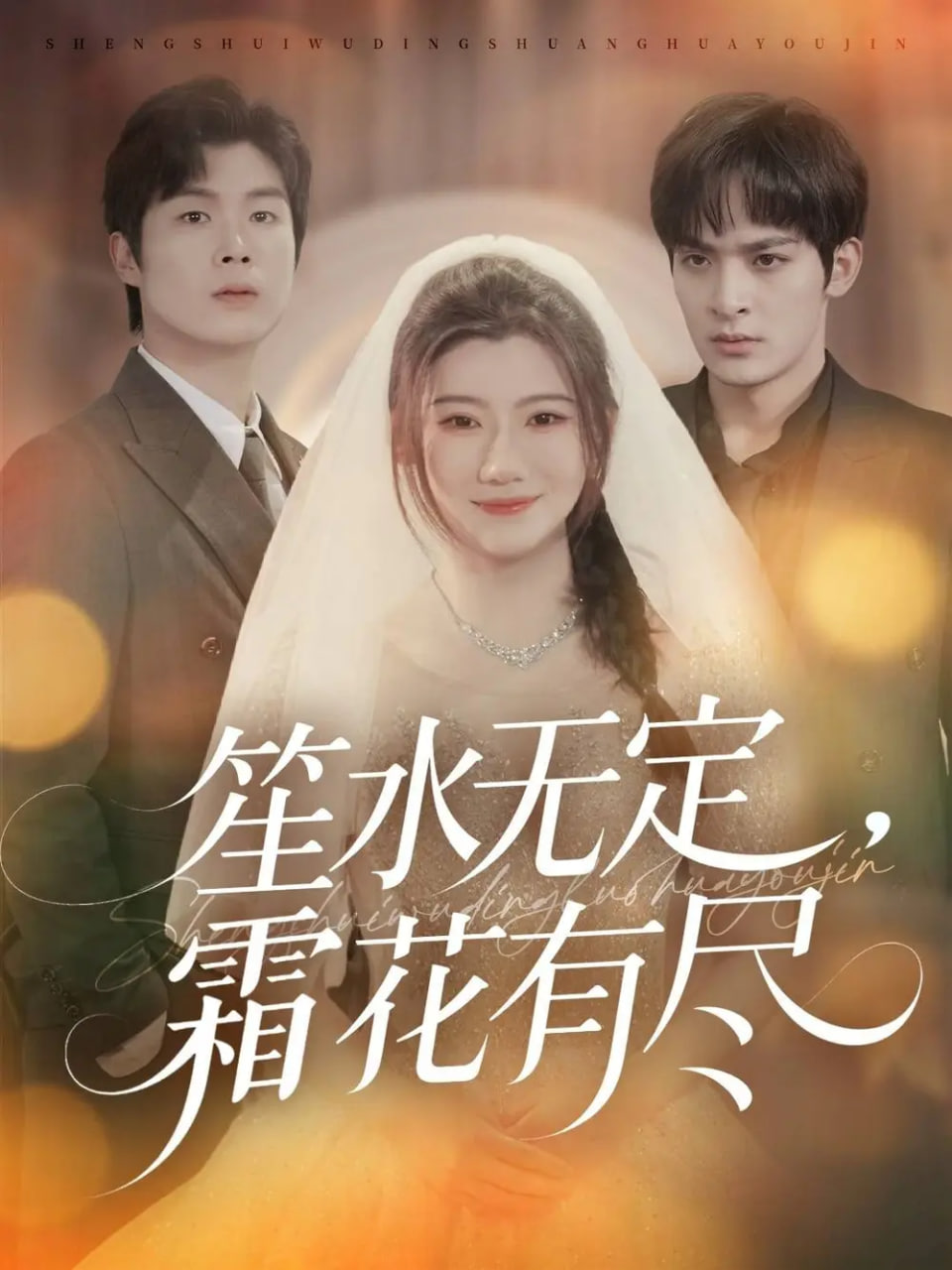 笙水无定，霜花有尽封面图