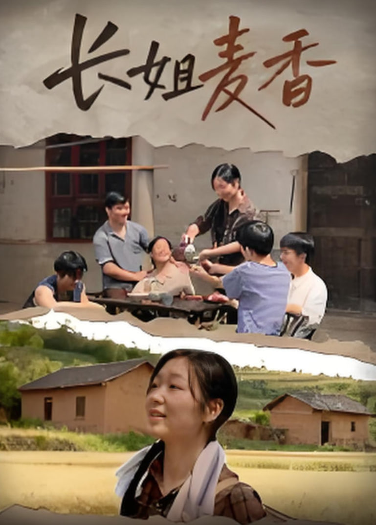 长姐麦香封面图