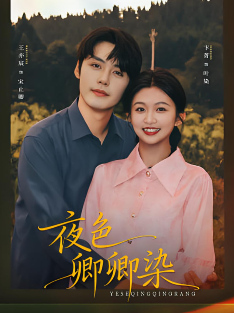 夜色卿卿染封面图