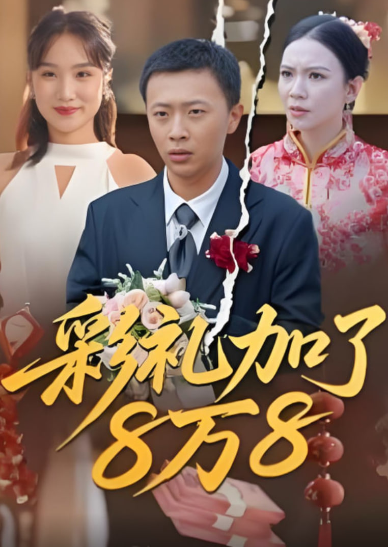 彩礼加了8万8封面图
