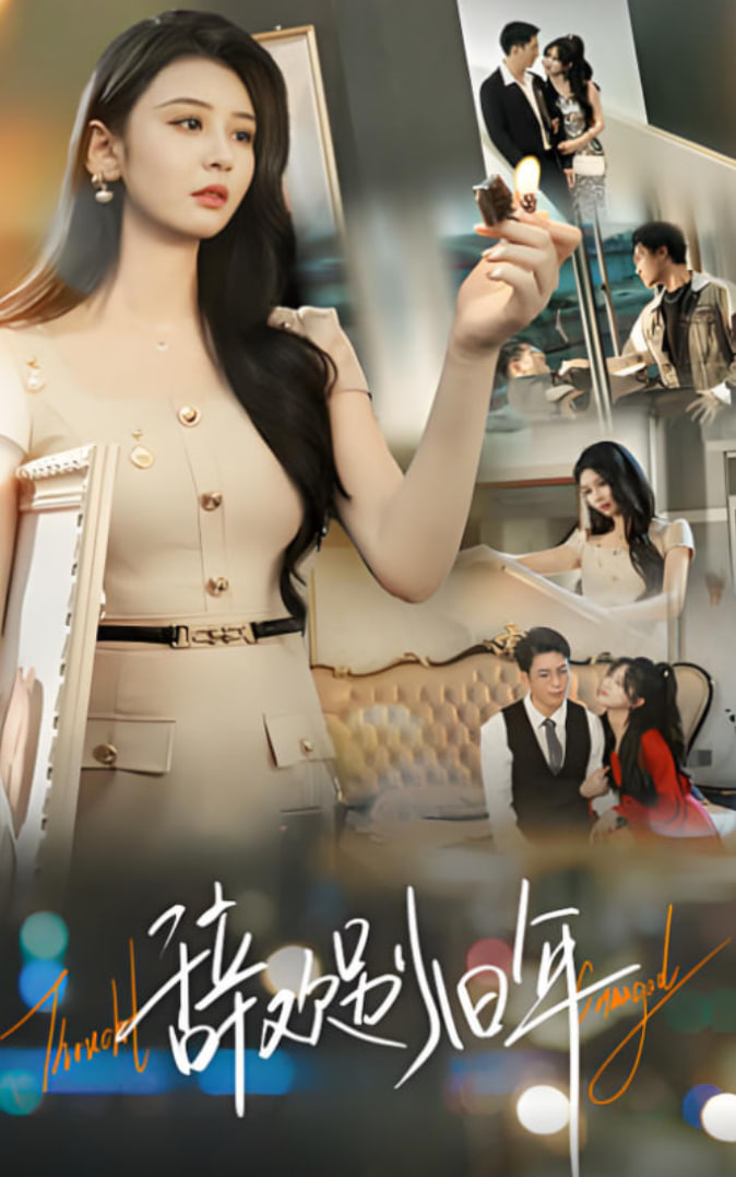 辞欢别旧年封面图