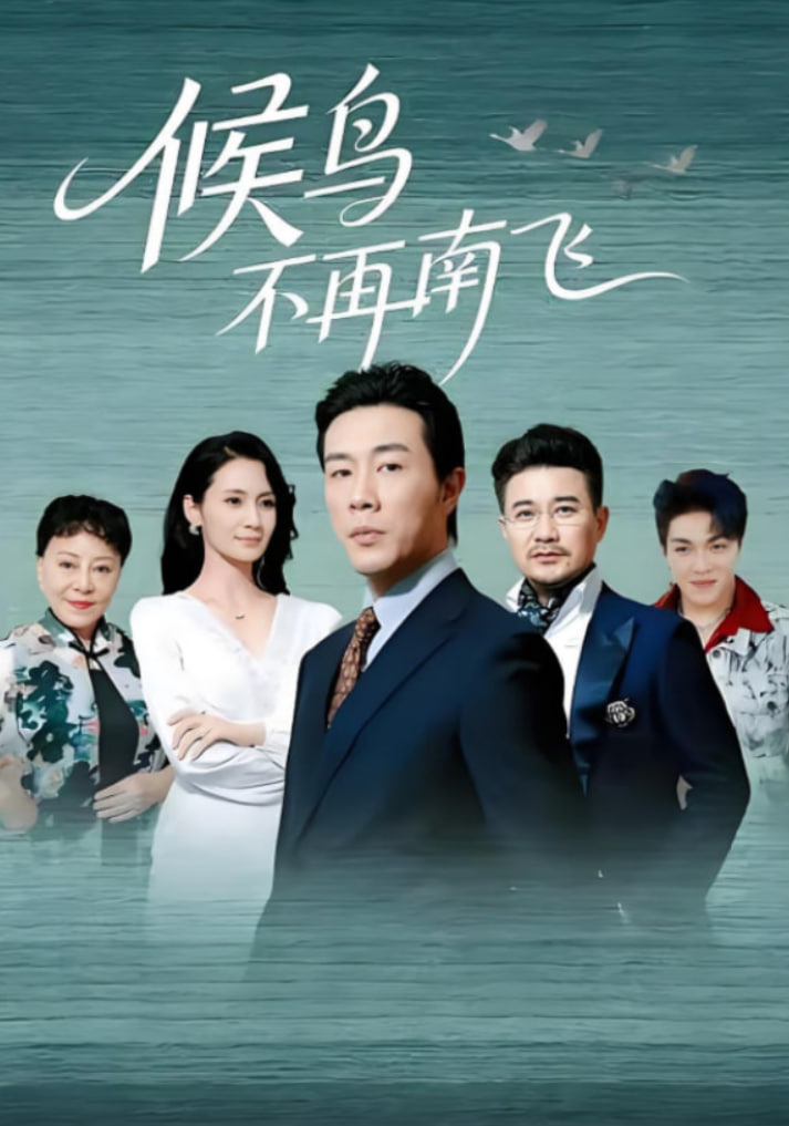 候鸟不再南飞封面图
