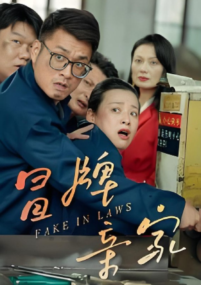 冒牌亲家封面图