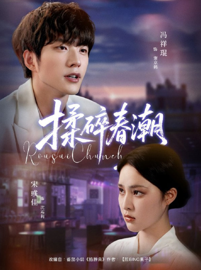 揉碎春潮封面图