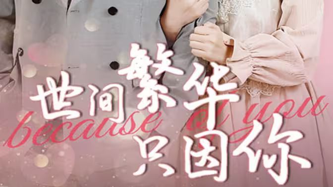 世间繁华只因你封面图