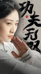 功夫无双封面图