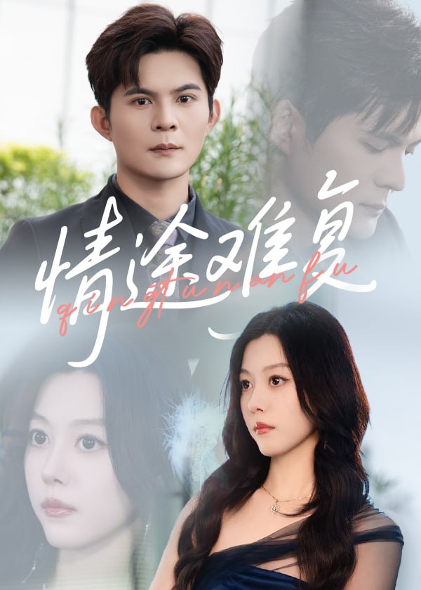 情途难复封面图