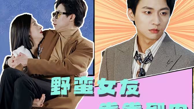 野蛮女友拳拳到肉封面图