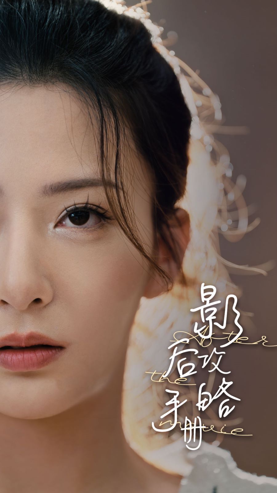 影后攻略手册封面图