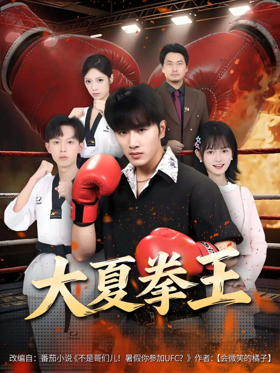 大夏拳王封面图