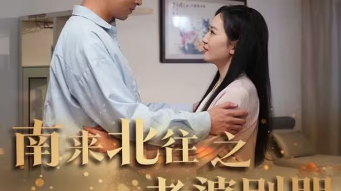 南来北往之老婆别哭封面图