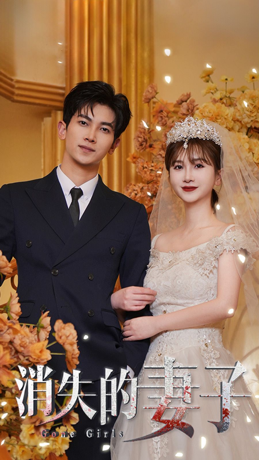 新：消失的妻子封面图