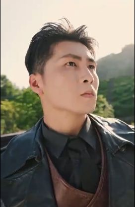 至尊天龙封面图