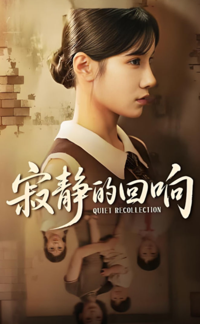 寂静的回响封面图