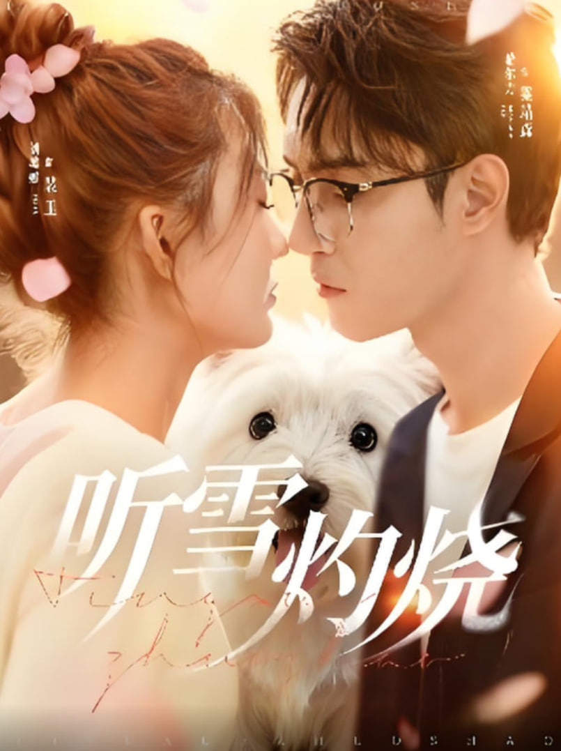 听雪灼烧封面图