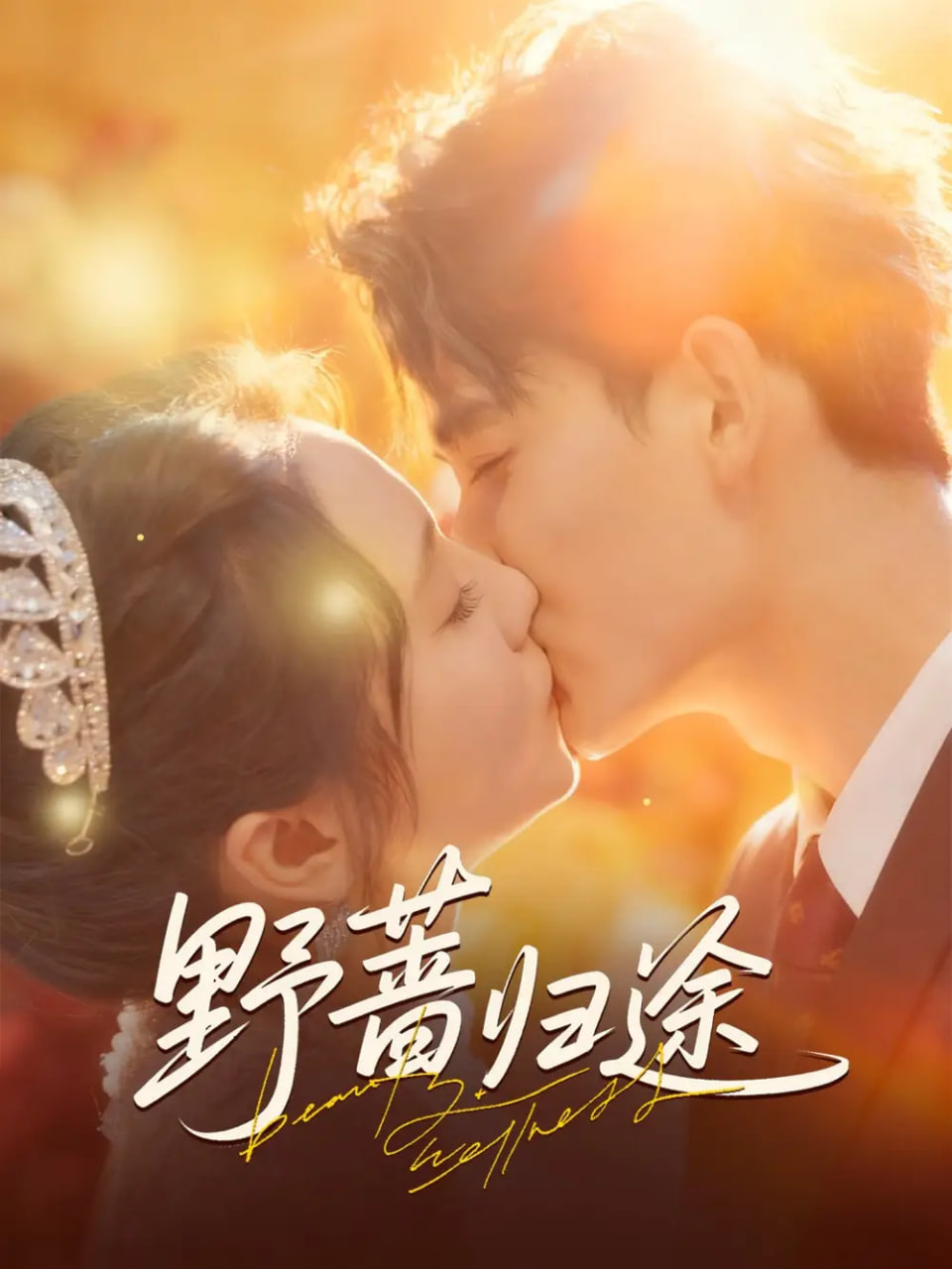 野蔷归途封面图