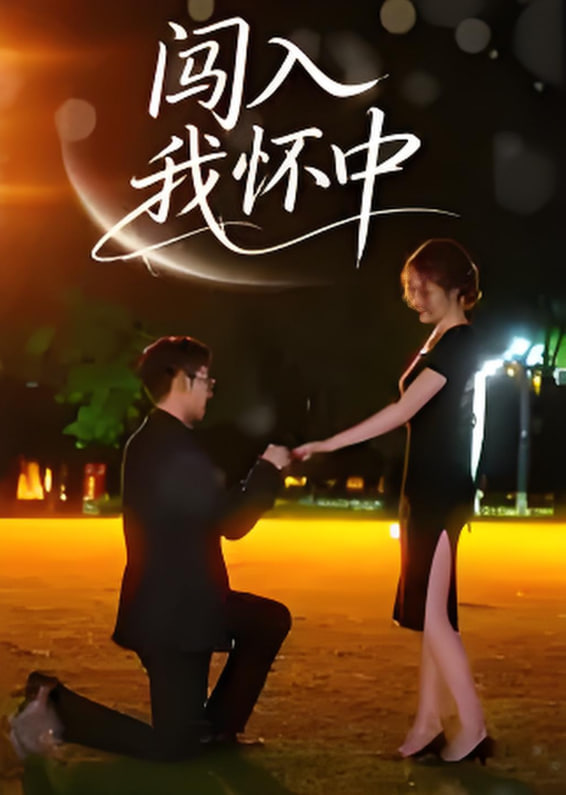 闯入我怀中封面图