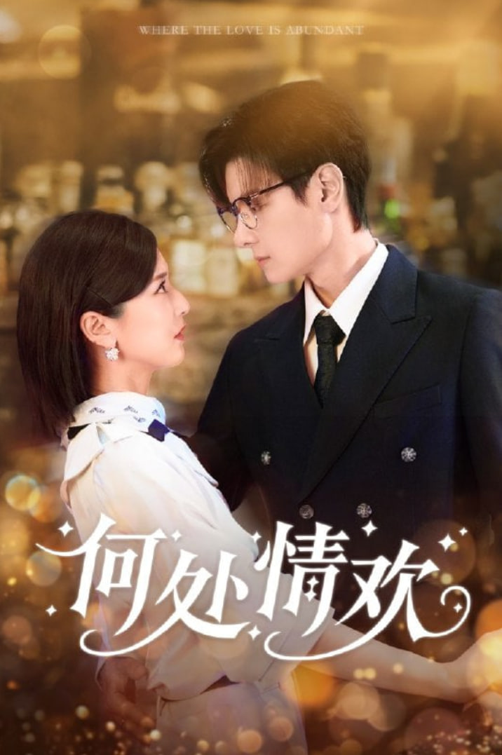 何处情欢封面图