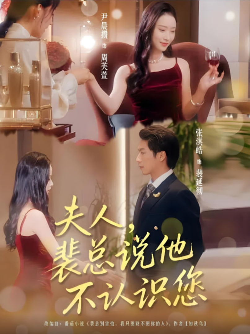 夫人裴总说他不认识您封面图