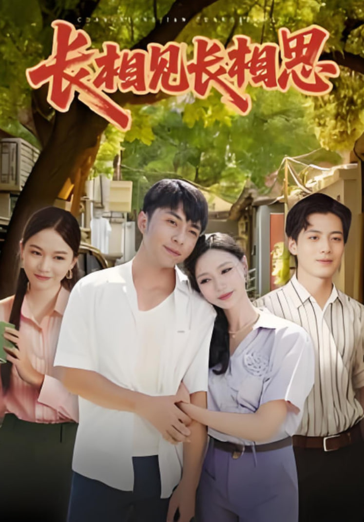 长相见长相思封面图