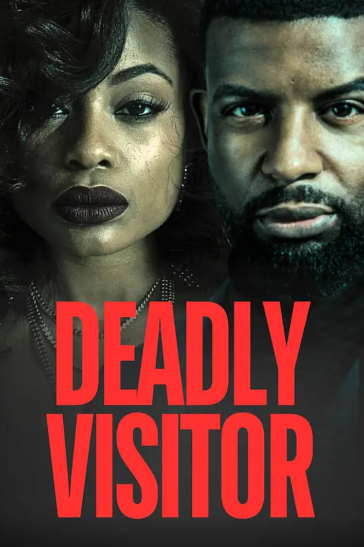 致命访客封面图