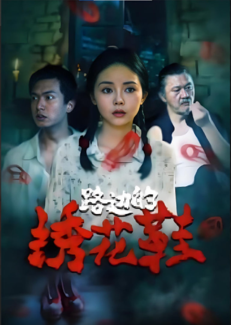 路边的绣花鞋封面图