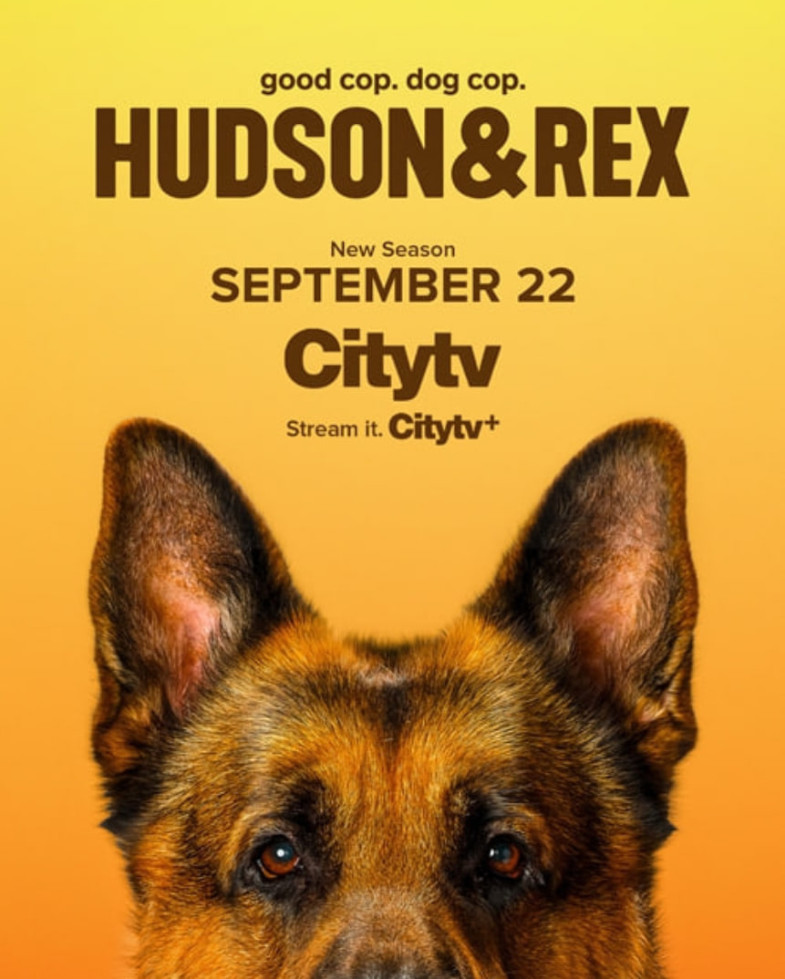 哈德森与雷克斯 第八季封面图