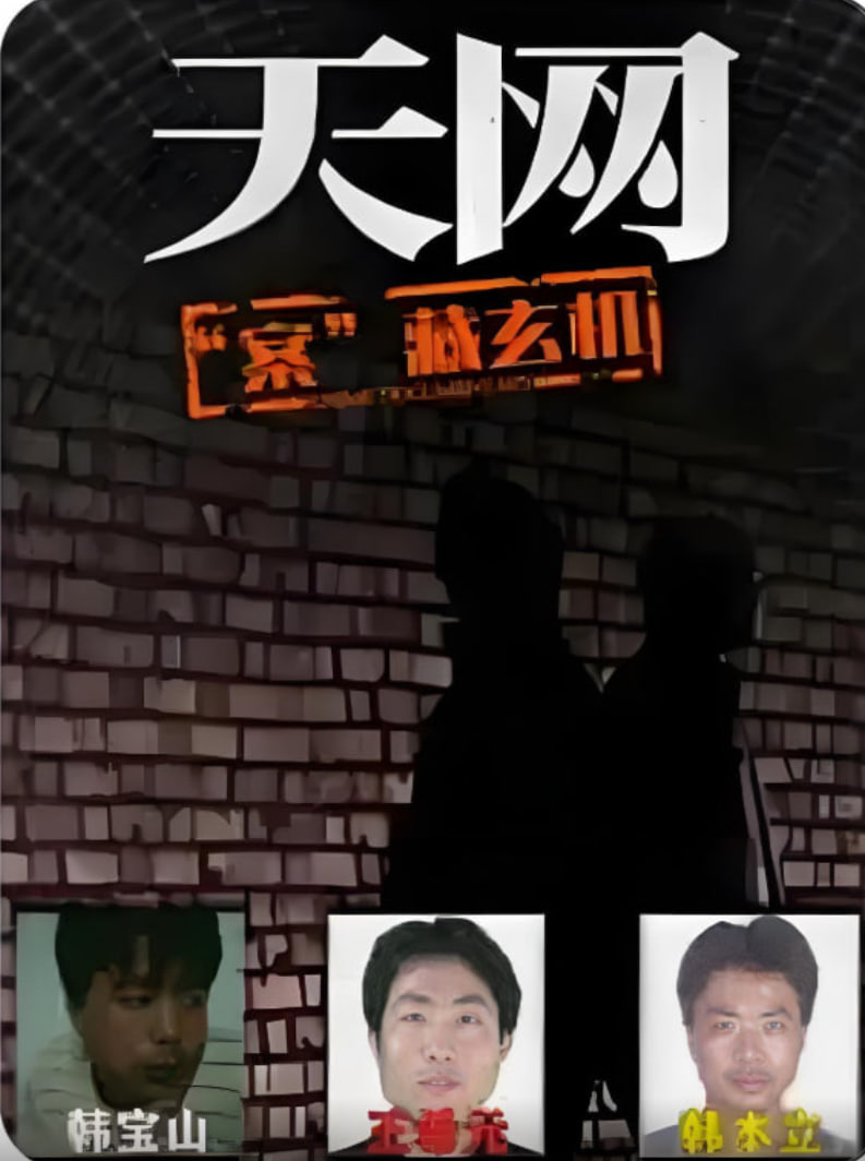 天网：“案”藏玄机封面图