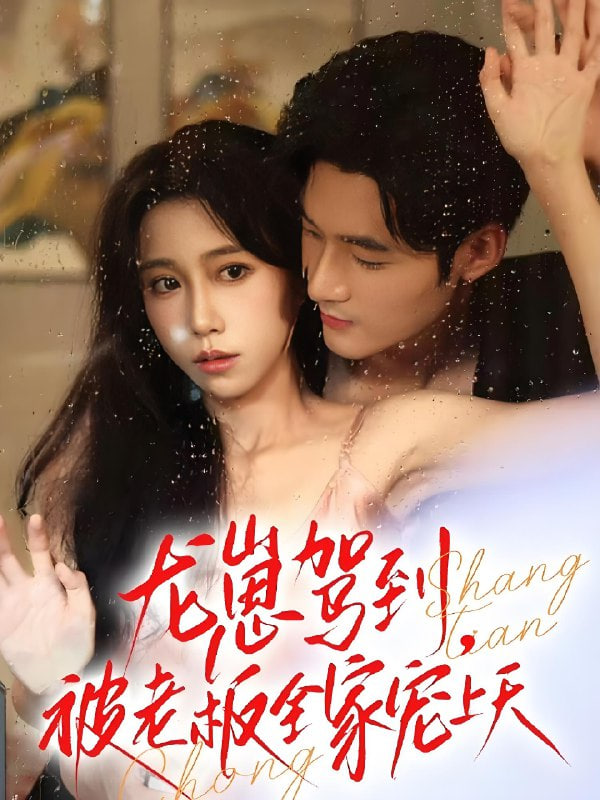 龙崽驾到被老板全家宠上天封面图