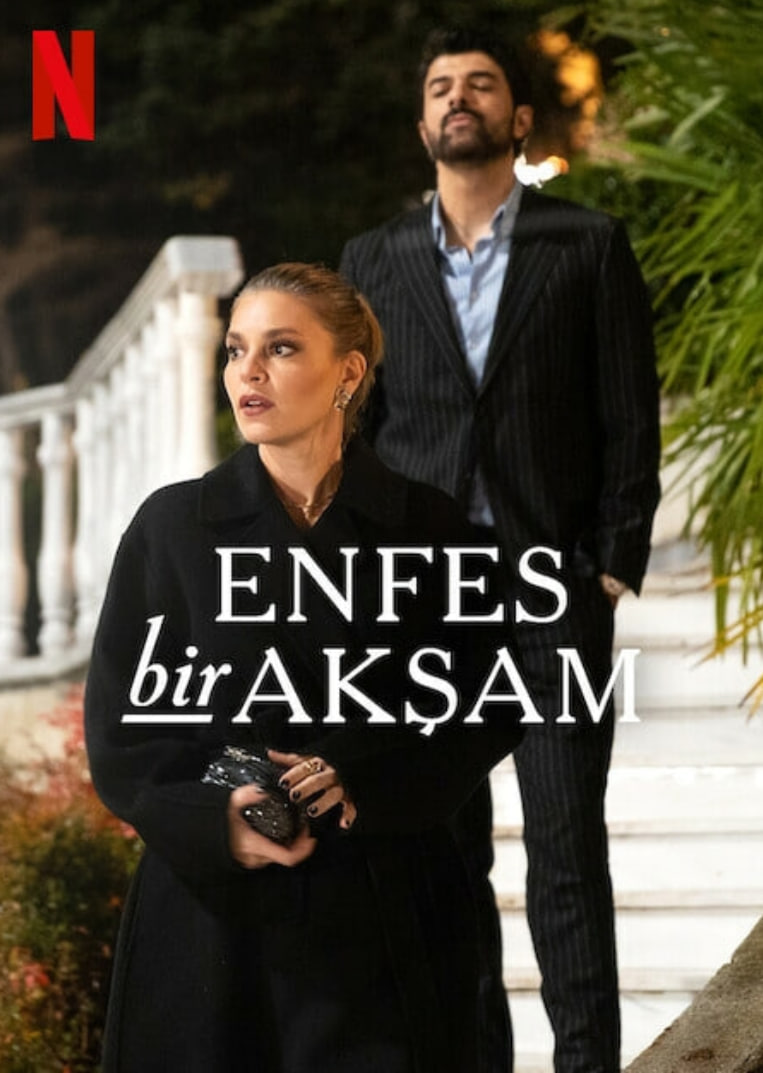 权欲阶梯封面图