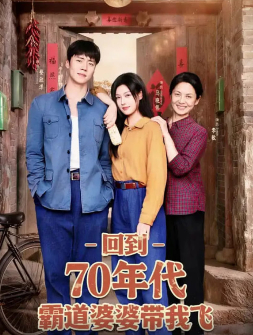 回到70年代霸道婆婆带我飞封面图