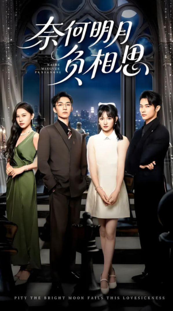奈何明月负相思封面图