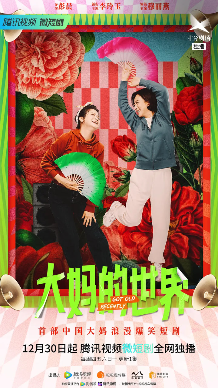 大妈的世界封面图