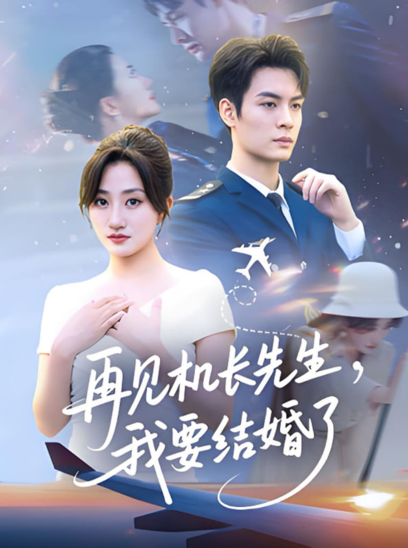 再见机长先生我要结婚了（再见机长先生，我要结婚了）封面图