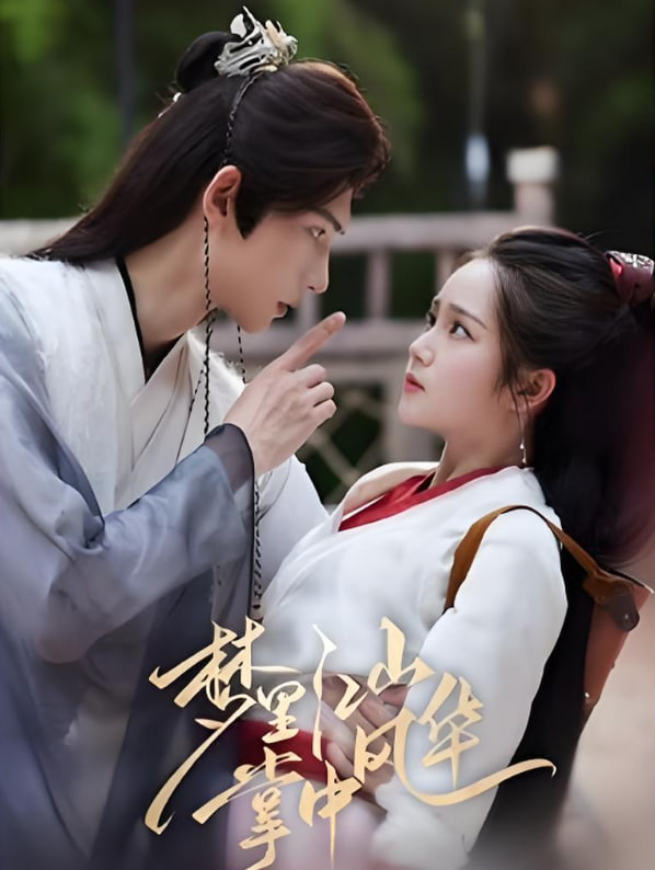 梦里江山掌中风华封面图