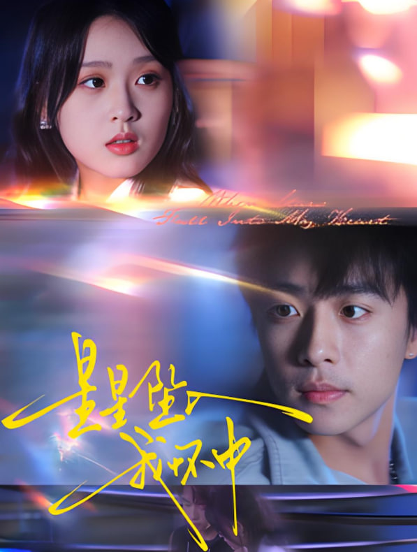 星星坠入我怀中封面图